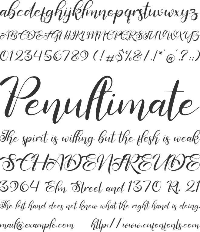 Ricadya font preview