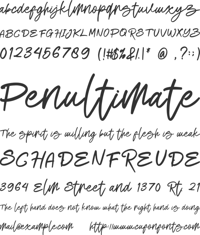 Simplifie font preview