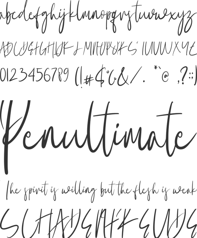 Holly Stroke font preview