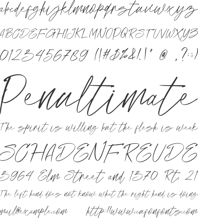 PatriceSephia font preview