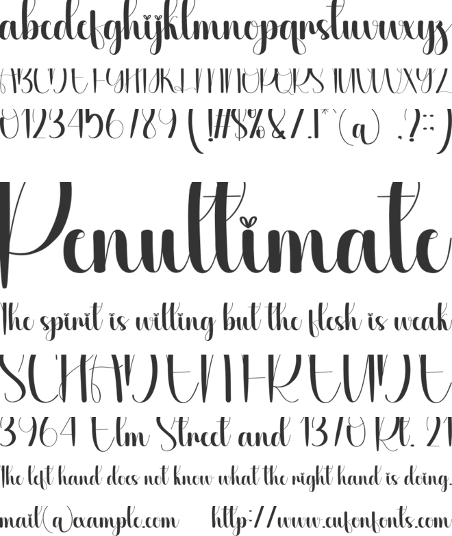 Bushy font preview