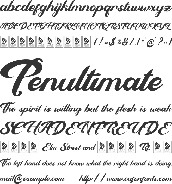 Berdy Danilla font preview