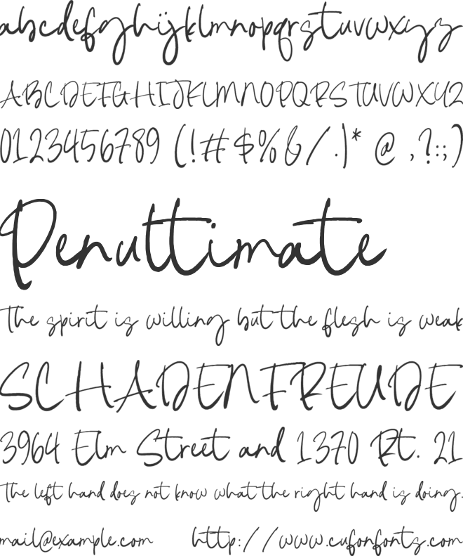 Palmeras Resort font preview