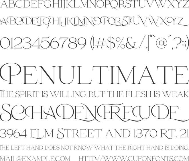 SS Bruney font preview