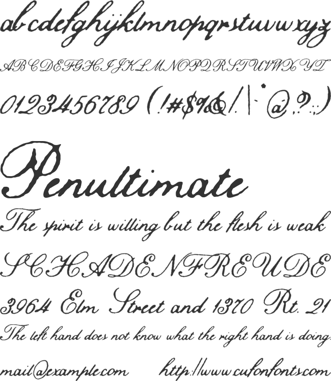 TC Hamilton Arc Script font preview