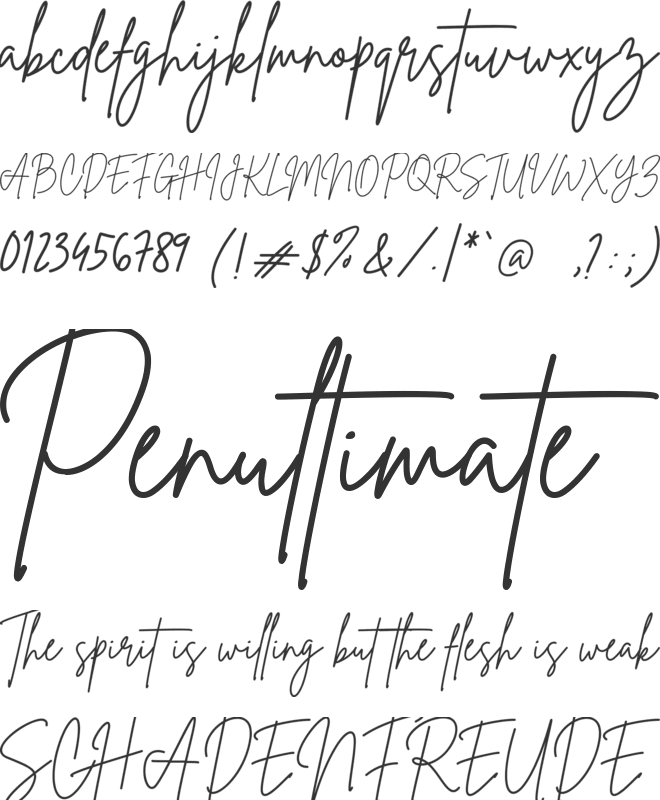 Brittany Signature Script font preview