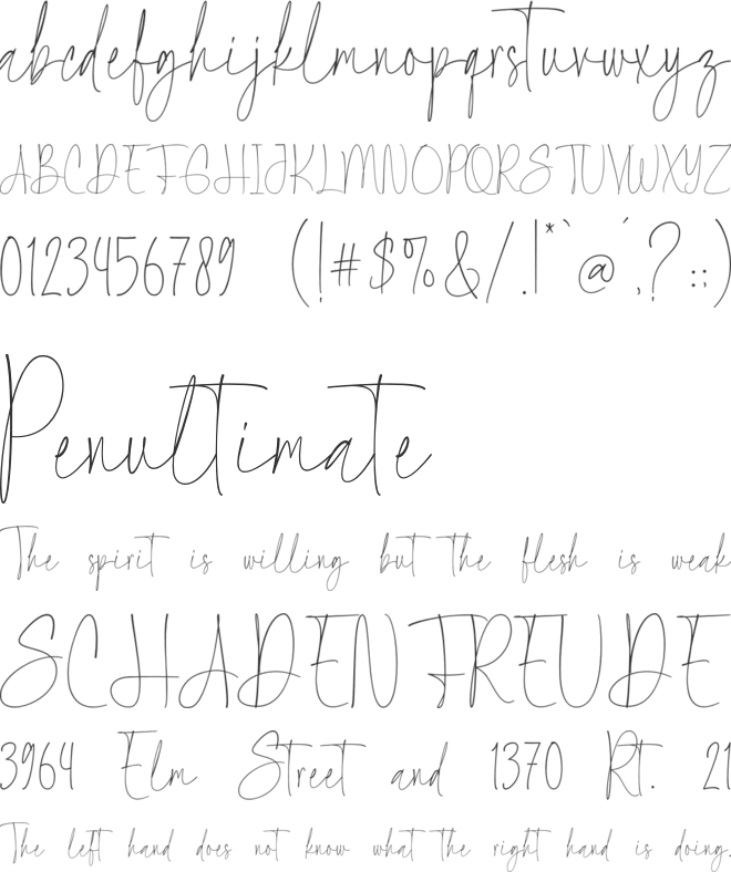 Grateful Signature font preview