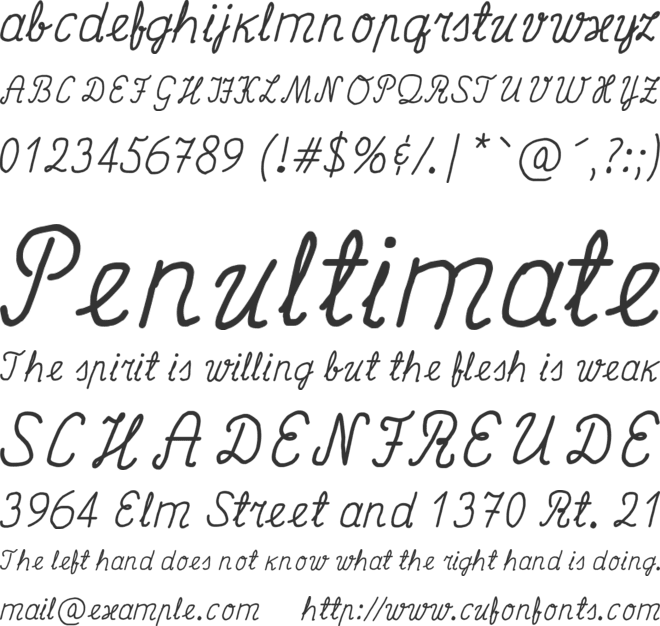 Rapid Penmanship font preview