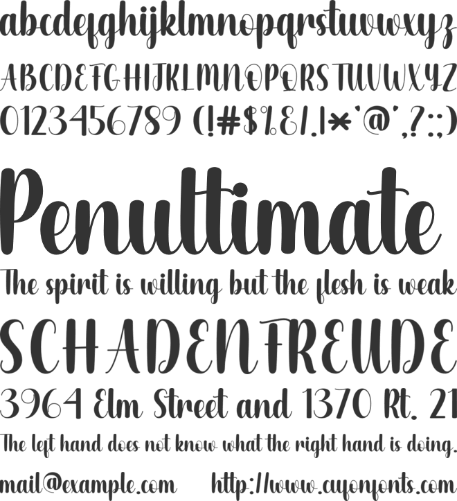 Angela Signature font preview