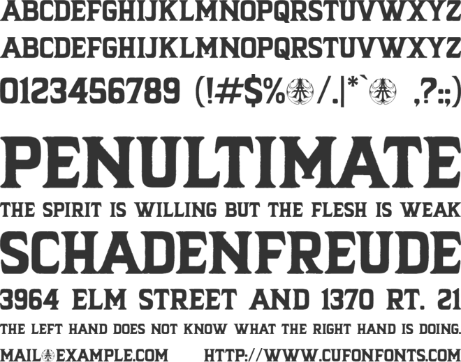 Bounesva Personal Use Only font preview