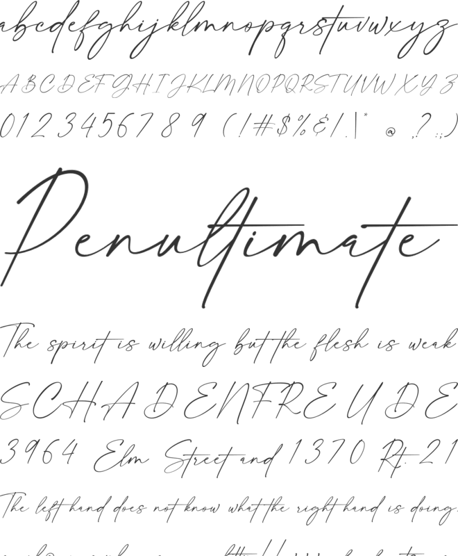 Fellaure font preview