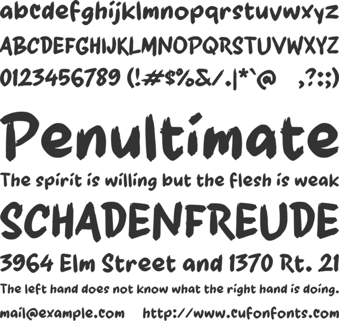 Paajee font preview