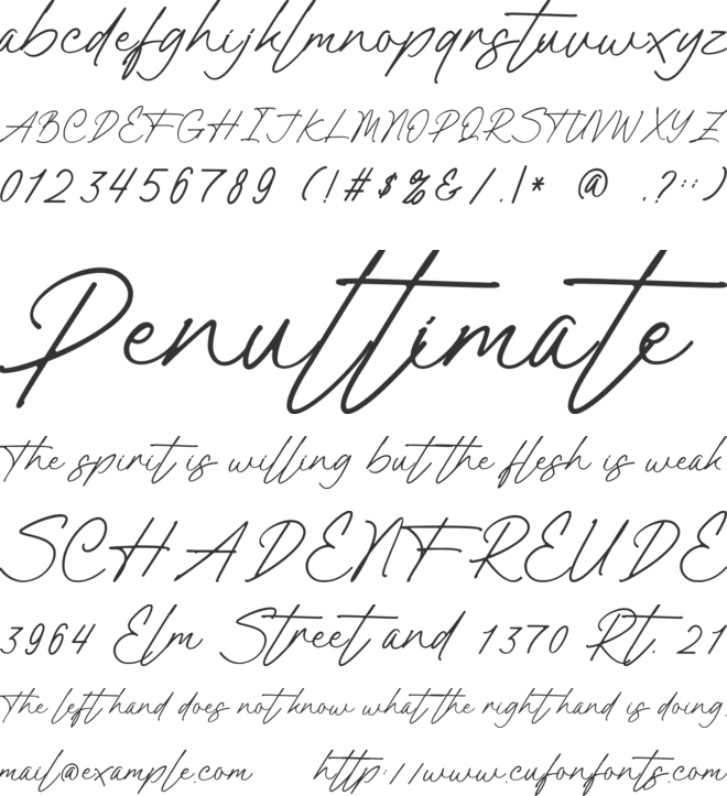 Panther Signature font preview