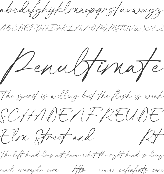 Pablo Co - Script font preview