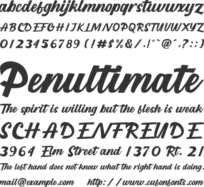 Longevity Script font preview