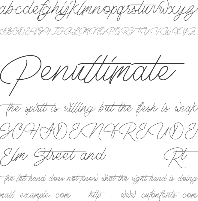 Signature 1 font preview