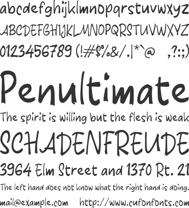 Paayez font preview