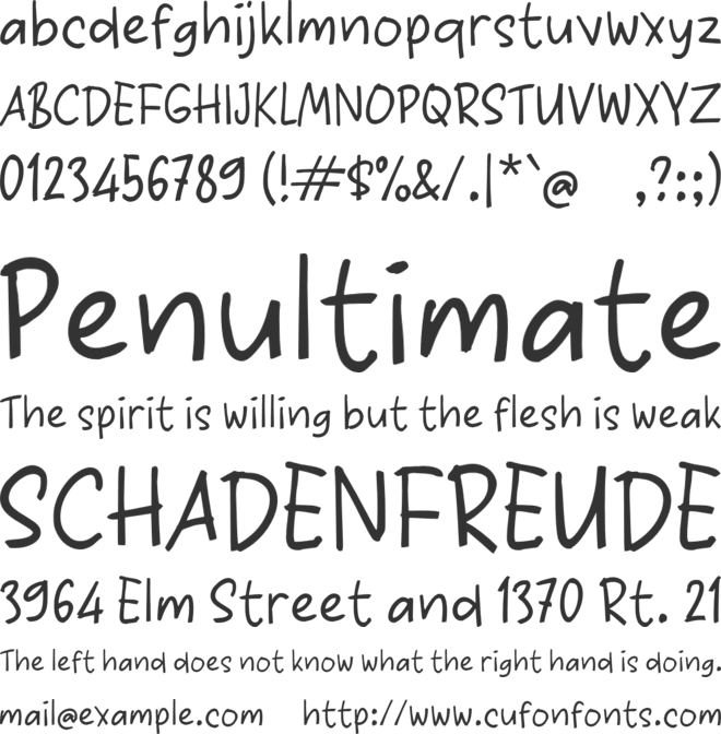 Paasse font preview