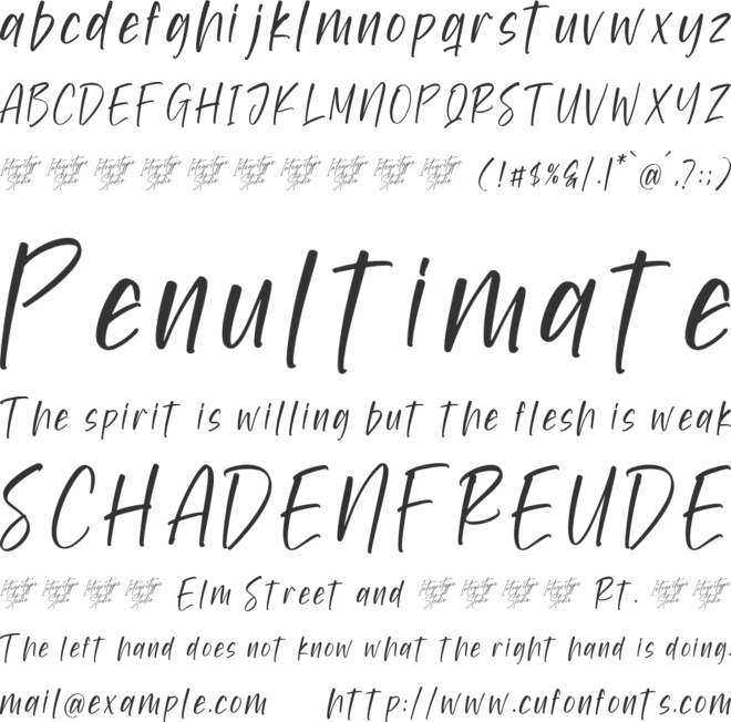 Bookshelf Infinites font preview