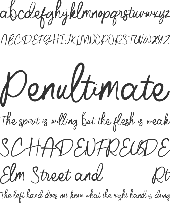 Lamonte Handwriting font preview