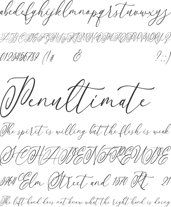 Anttelope font preview