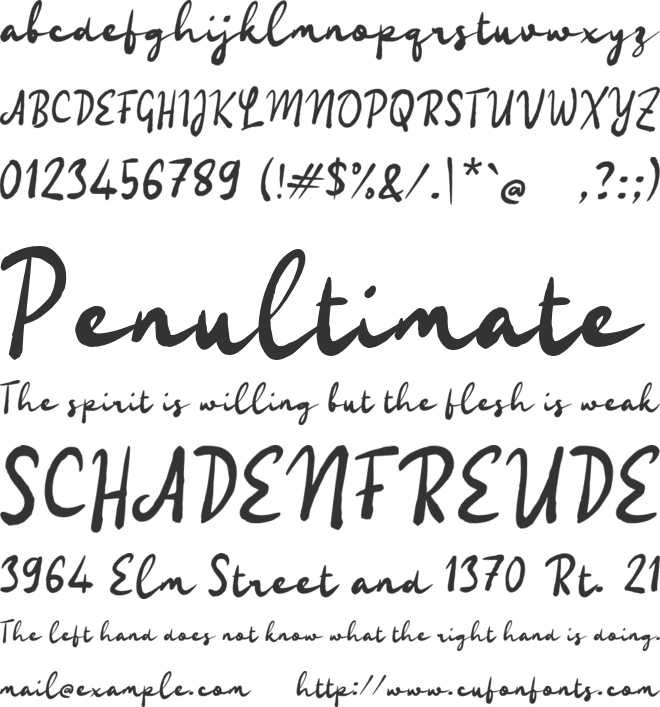 Paaniye Brusho font preview