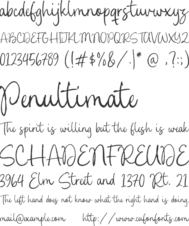 Palmera Beach font preview