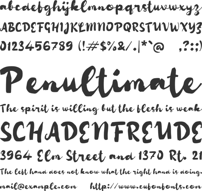 Pageryo font preview