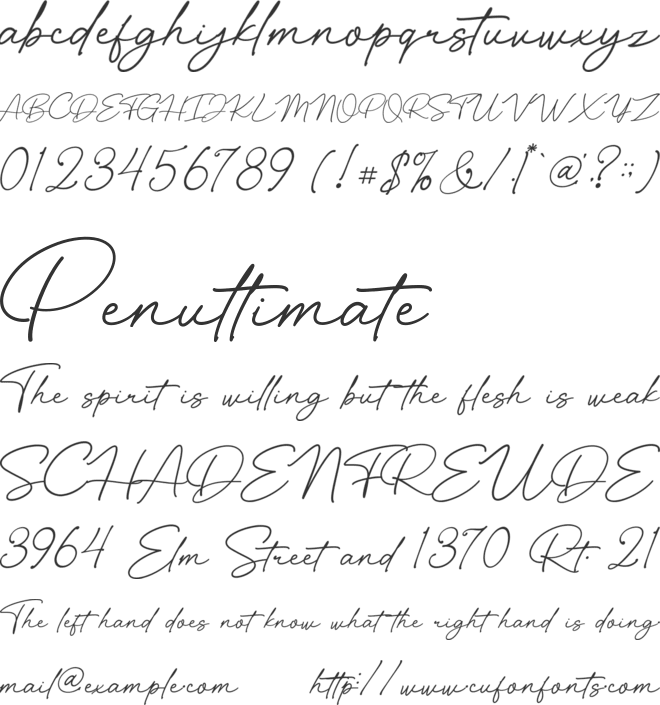 Bolivia Signature font preview