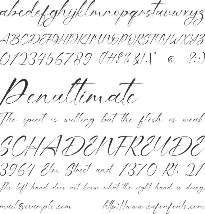 Bristy Signature font preview