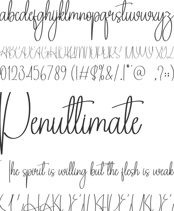 Angelina Signature font preview