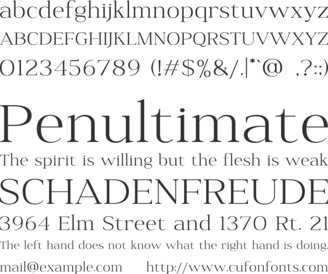 Audience font preview