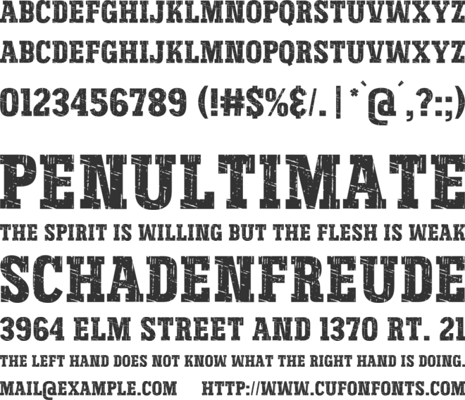 Vintage Christmas font preview