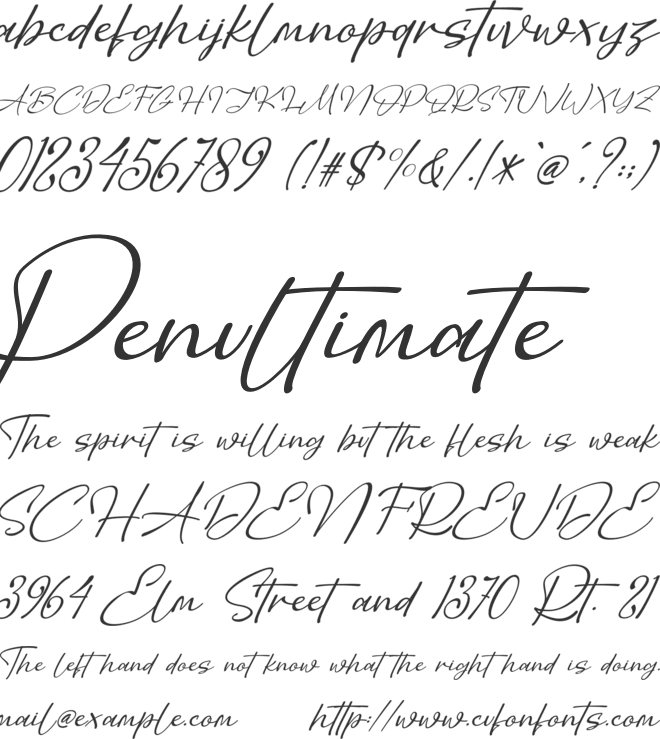 Aesthetic Lettering font preview