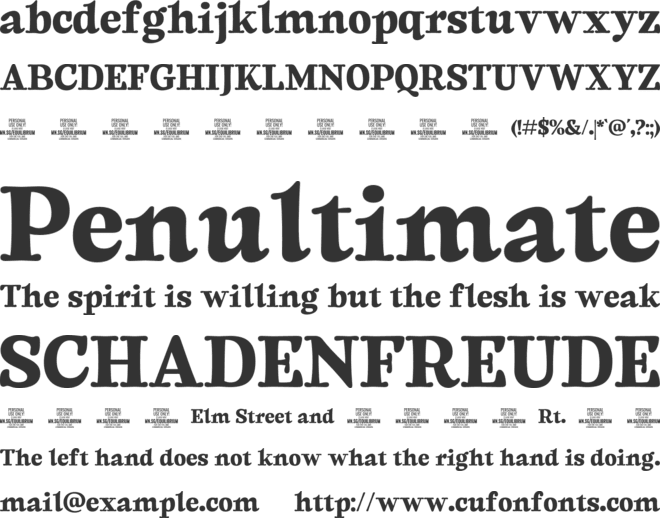 Equilibrium Serif PERSONAL USE font preview