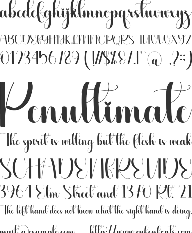 Tangible font preview