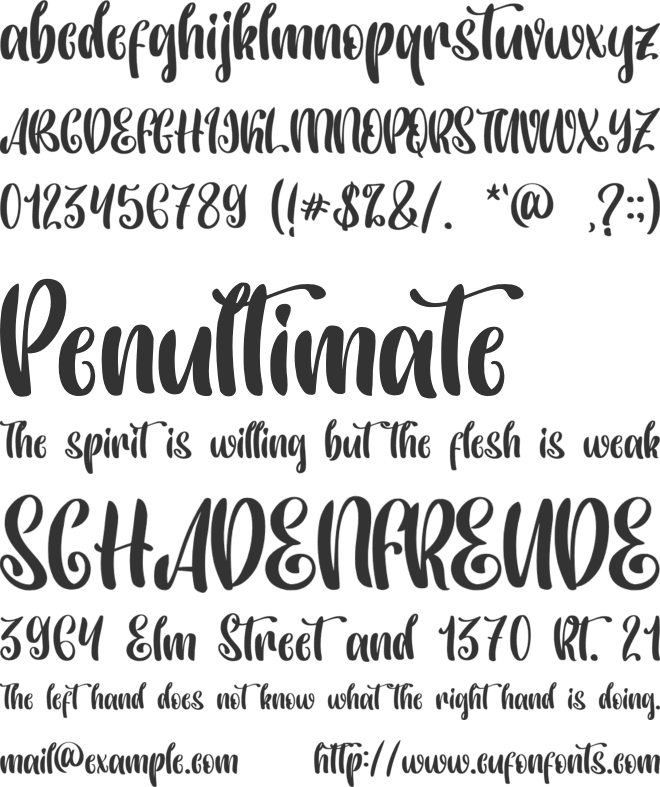 Palm Paradise - Personal Use font preview