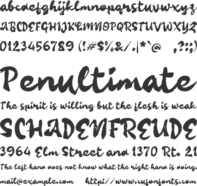 Pacheow font preview