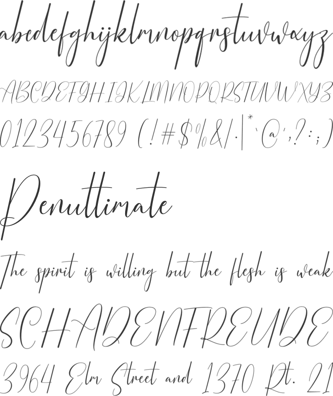 Amsterdon font preview