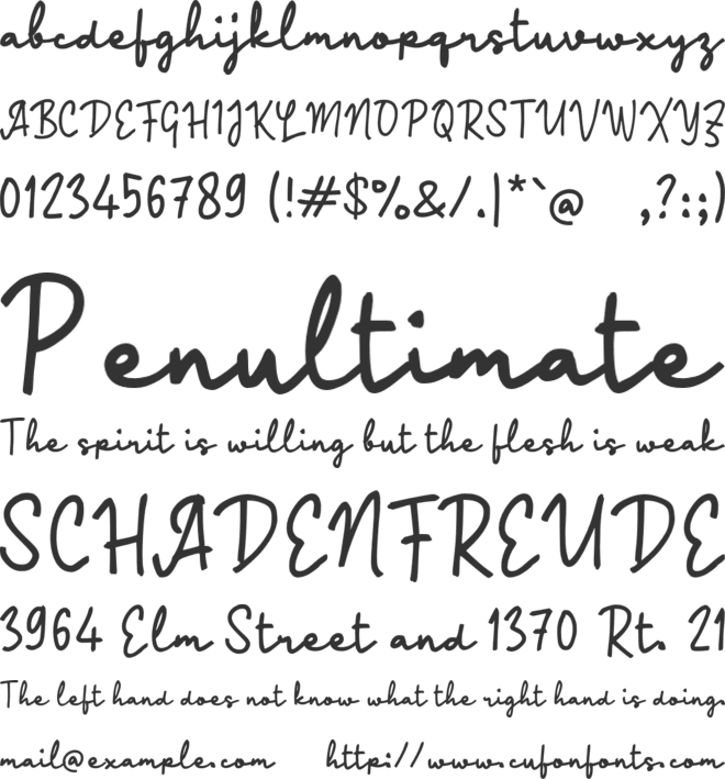 Paareng Script font preview