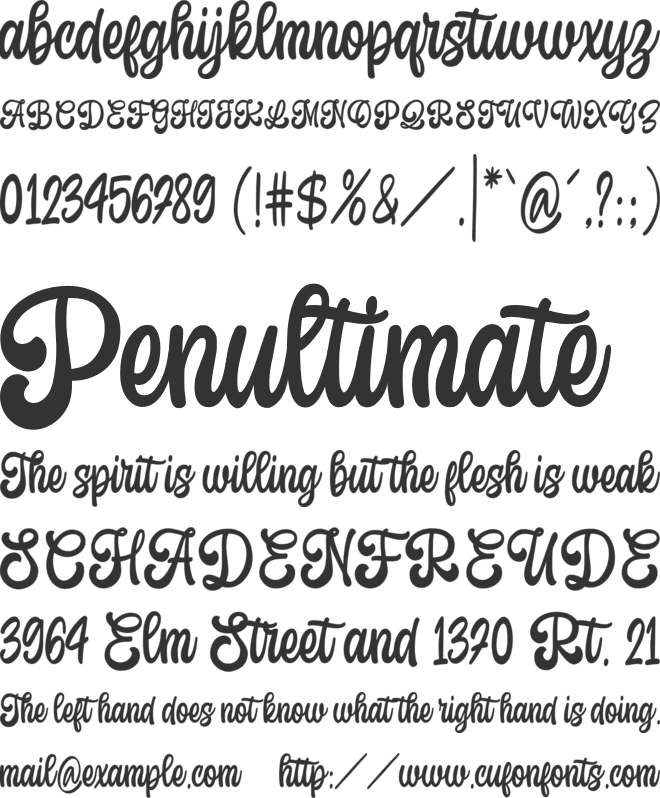 November Delight font preview