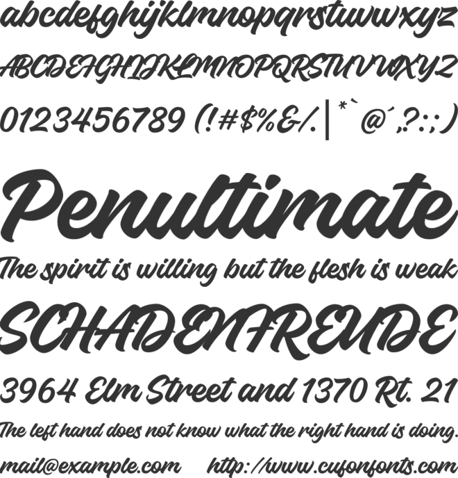 Bhineka Script font preview