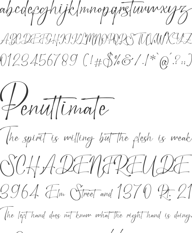 Bounthy Flow font preview