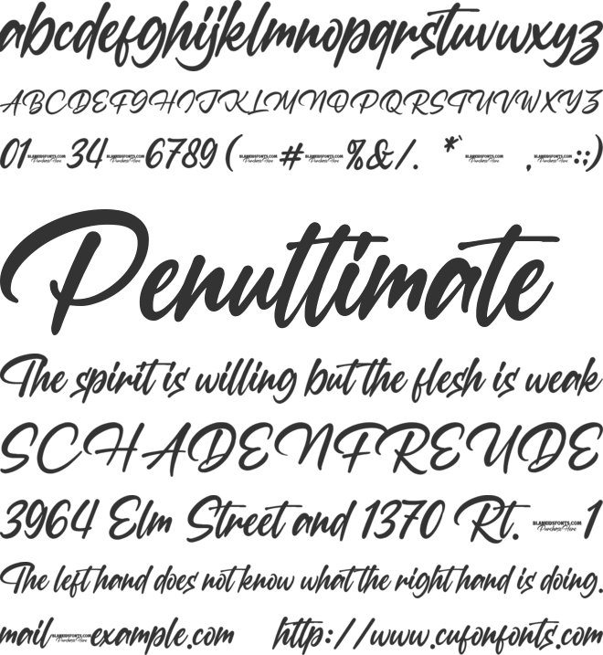 Kitchen Delight font preview