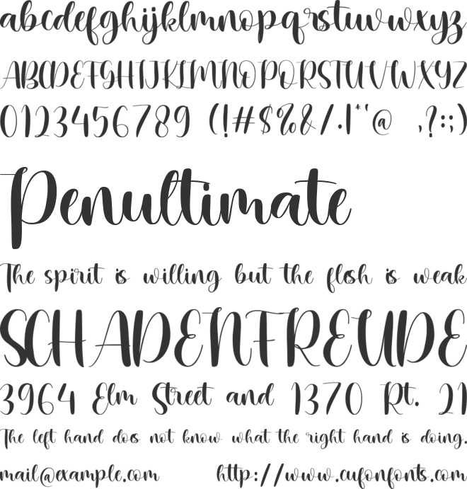 Charming Stylish - Personal use font preview