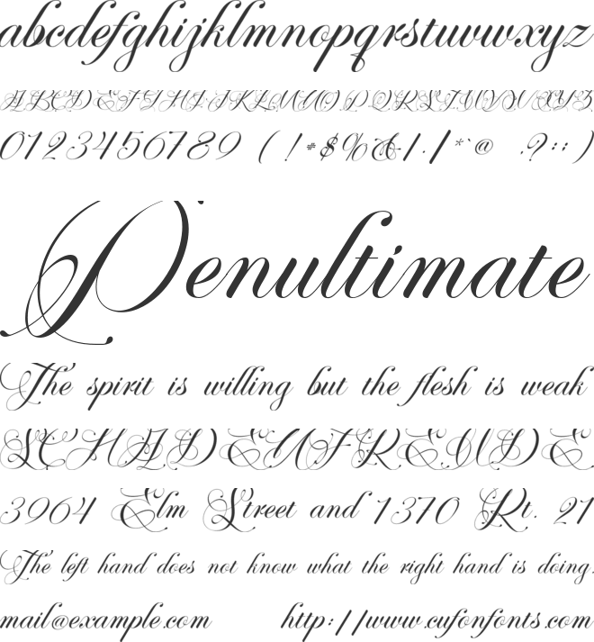 Perfecto Calligraphy - Personal use font preview