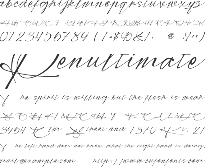 Modern Signature - Personal use font preview