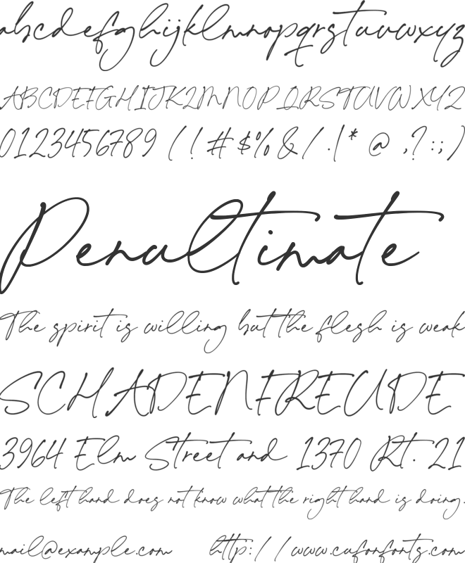 Woodsen Signature font preview