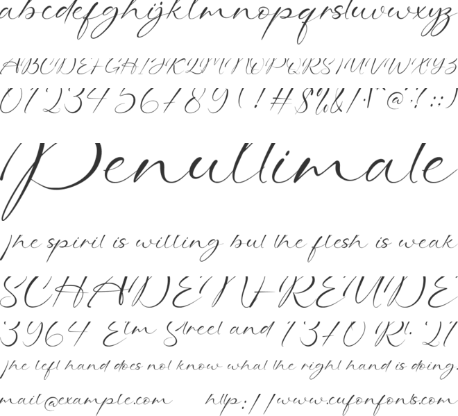 Whispering Signature-Personal use font preview