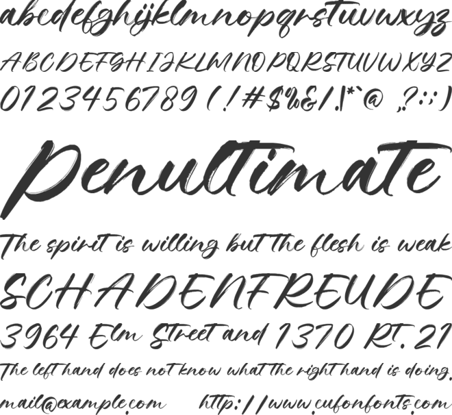 Brushong - Personal use font preview